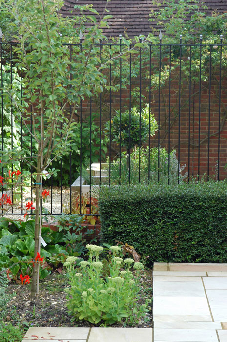 View through railings to the herb garden